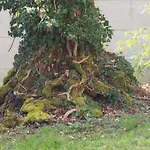 Chateau Segot Nocleg ze śniadaniem 3*