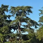 Chateau Segot Bed & Breakfast Neuilly-le-Réal