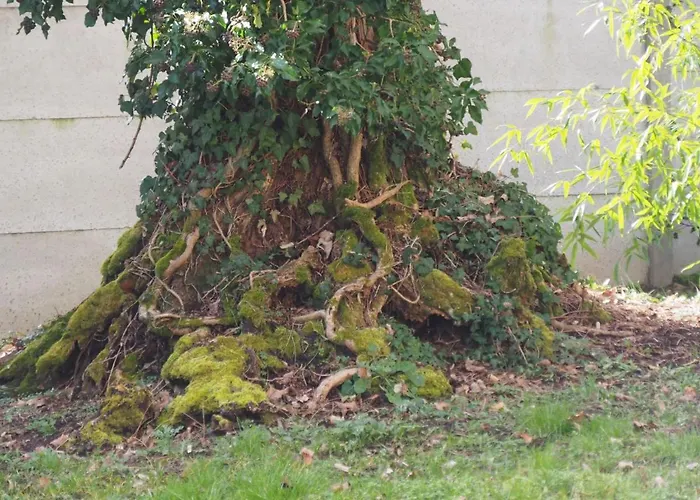 Château Ségot Bed and breakfast 3*