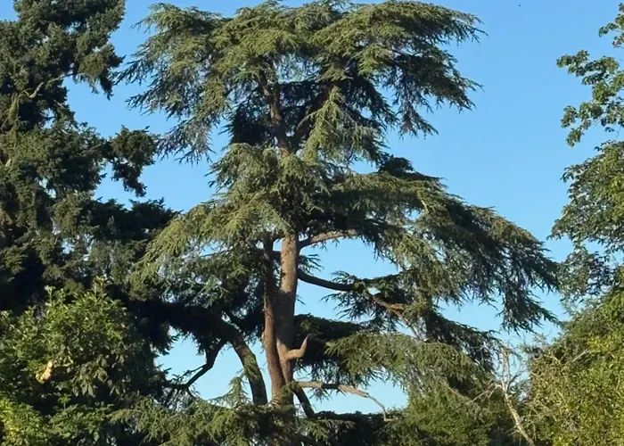 Château Ségot Bed and breakfast Neuilly-le-Réal